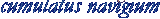cumulatus navigium